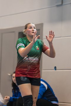 Bild 194 - F HSG Kremperheide/Muensterdorf - ATSV Stockelsdorf 2 : Ergebnis: 47:32